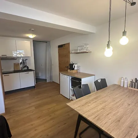 Willi's アパート ザールバッハ・ヒンターグレム